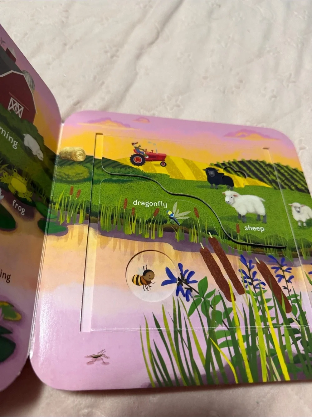 Peek-a-Flap Moo Kids Board Book - Yellow